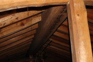 Load image into Gallery viewer, 2nd floor ridgepole "Traditional Japanese house" kominka