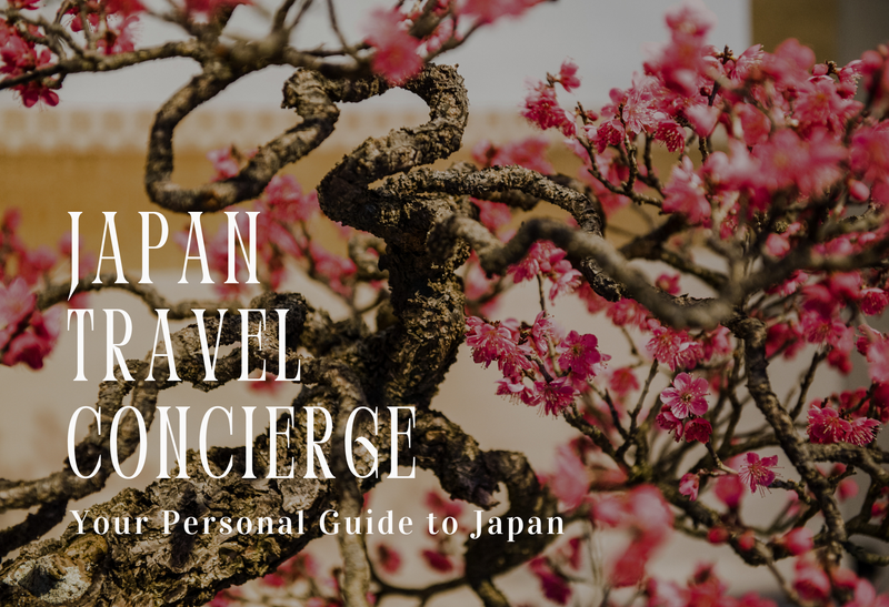 Chargez l'image dans la visionneuse de la galerie, Travel Concierge NANIKOKO_en