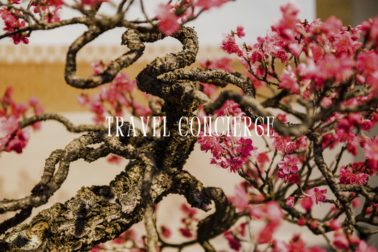 Japan Travel concierge personal