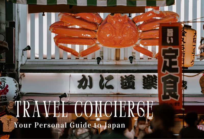 Chargez l'image dans la visionneuse de la galerie, Osaka Travel Concierge NANIKOKO_en