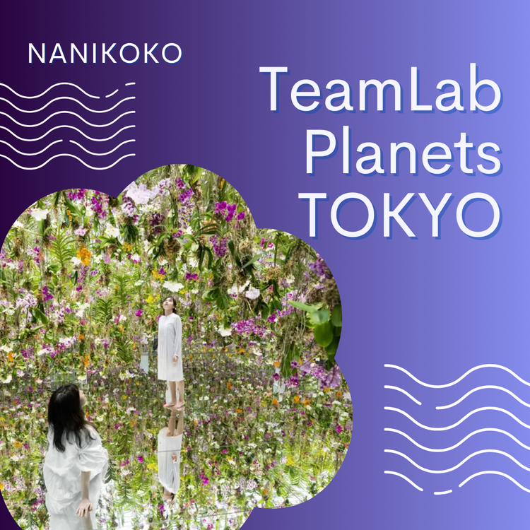 TeamLab Planets TOKYO: Where Art Meets Water in an Immersive Digital Universe