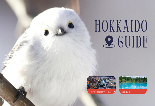 Hokkaido Travel Guide(Chat Support+Reservation Assistance) NANIKOKO_en