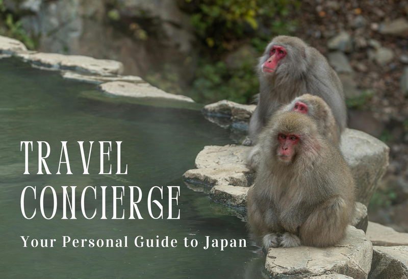 Cargue la imagen en el visor de la galería, Nagano Travel Concierge NANIKOKO_en
