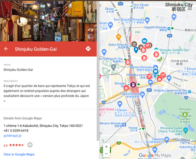 Customized Google Maps details NANIKOKO